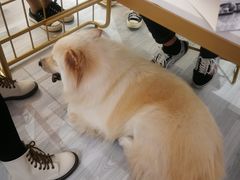 -肆兮眼镜·蔡司·徕卡战略合作店(大坪店)