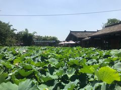 -莫催咖啡