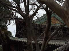 -报恩寺(平武县)