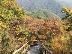-天女山森林公园