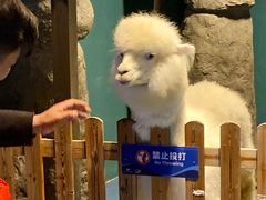 -重庆欢乐海底世界