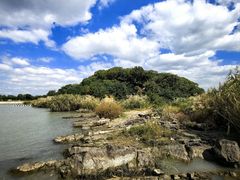 -上海市保健医疗中心