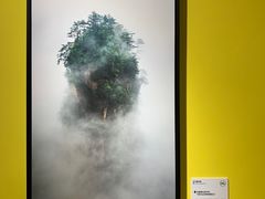 -中海环宇荟