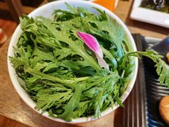 茼蒿-刘一锅筋头巴脑(小北店)