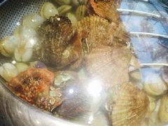 -船梆煮•蒸汽海鲜·炉火烤肉(五四广场店)