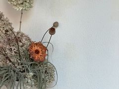 -Ginko银子(青龙街店)