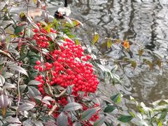 -南京东郊国宾馆