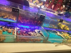 -SEA西雅图海鲜自助餐厅(海乐世界店)