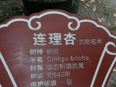 -苏州文庙(姑苏区)