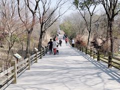 -上海吴淞炮台湾国家湿地公园