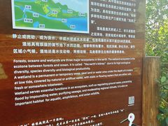 -华侨城湿地公园