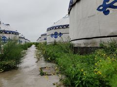 -呼伦贝尔大草原
