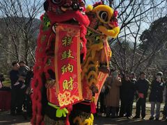 -香雪海
