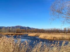 -野鸭湖国家湿地公园