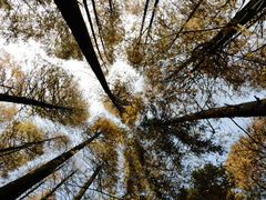 -山王坪喀斯特国家生态公园