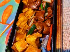 -雀舞云南菜(乐客城店)