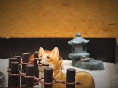 -京怀石·壬生