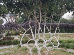 -武汉紫薇都市田园