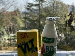 -三江森林温泉度假区