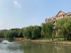 -新江湾城公园