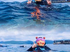 -亚龙湾海底世界