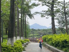 -飞来湖湿地公园
