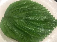 苏子叶-金刚山(学府路店)