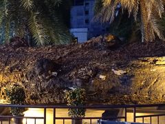 景点-海口骑楼小吃街