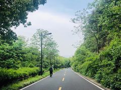 -宝界山林公园
