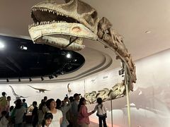 -自贡恐龙博物馆