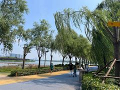 -北龙湖湿地公园