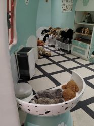 -奈尔宝·儿童乐园·亲子餐厅(苏州大悦城店)