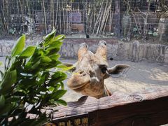 -长鹿旅游休博园