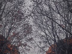 -蠡湖中央公园