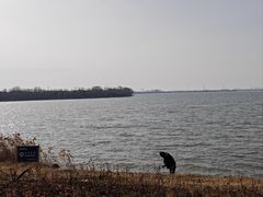-漕湖湿地公园
