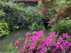 -中国茶叶博物馆(双峰馆区)