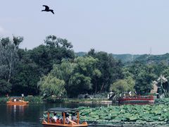 -承德避暑山庄景区