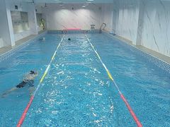 -小蓝鲸游泳培训基地(积水潭店)