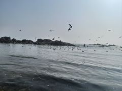 -海合安青岛极地海洋公园