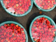 -众彩物流水产市场