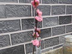 -天治宣·野椒鸡(龙头寺总店)