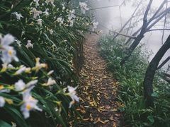 -重庆雨台山风景区