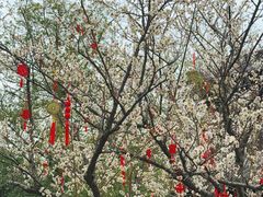 -钱王祠