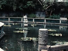 -碧江金楼