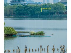 -海珠湖公园