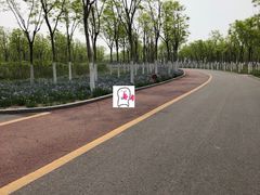 -天津东丽湖风景区