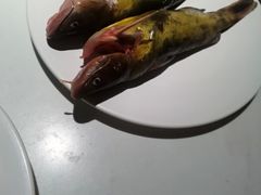 -深海800米海鲜自助(万达广场店)