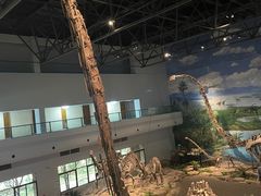 -自贡恐龙博物馆