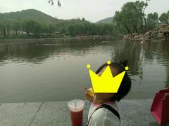 -辛玛王国游乐园