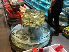 -强记海鲜·大排档(蛇口新街店)